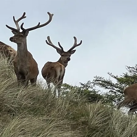 Hébergement de vacances Nashota - 700m From The Sea By Interhome